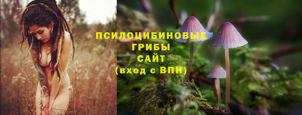 прущие крисы Волоколамск