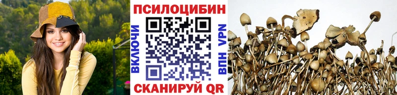 маркетплейс как зайти  где продают наркотики  Петушки  Псилоцибиновые грибы Magic Shrooms 