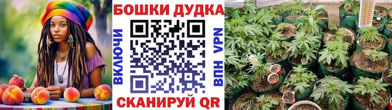 Конопля MAZAR сколько стоит Петушки
